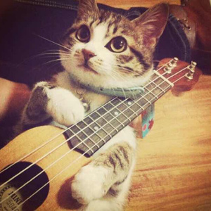 大鸡巴重生操骚屄浪货
